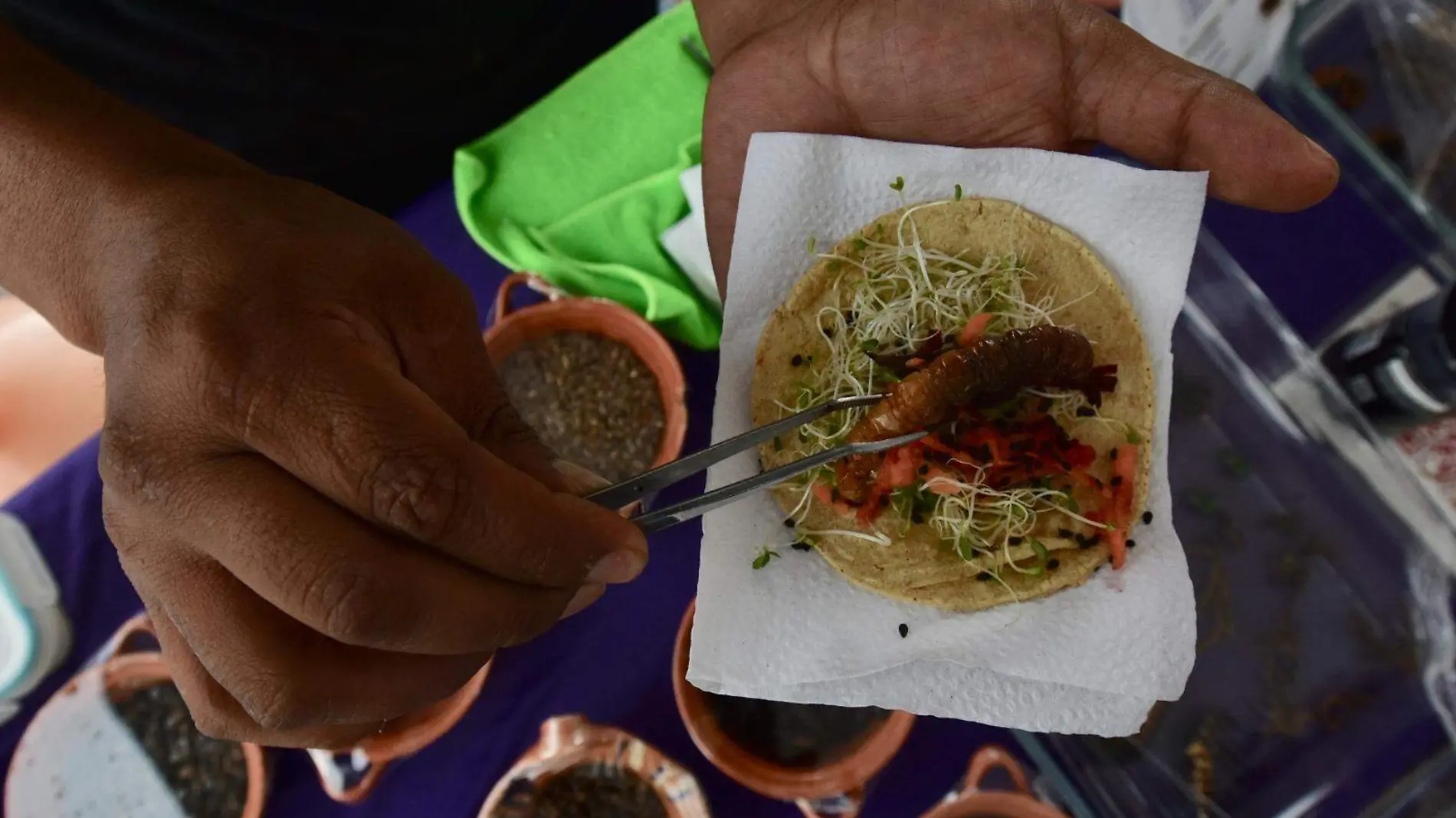 tacos metepec